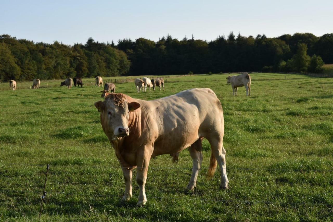 Ferienhaus Nannen Rechtsupweg Eksteriør billede